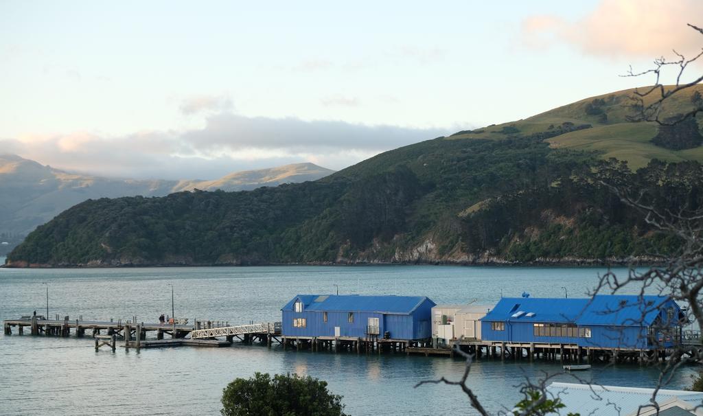 Oinako Bed & Breakfast Akaroa Εξωτερικό φωτογραφία